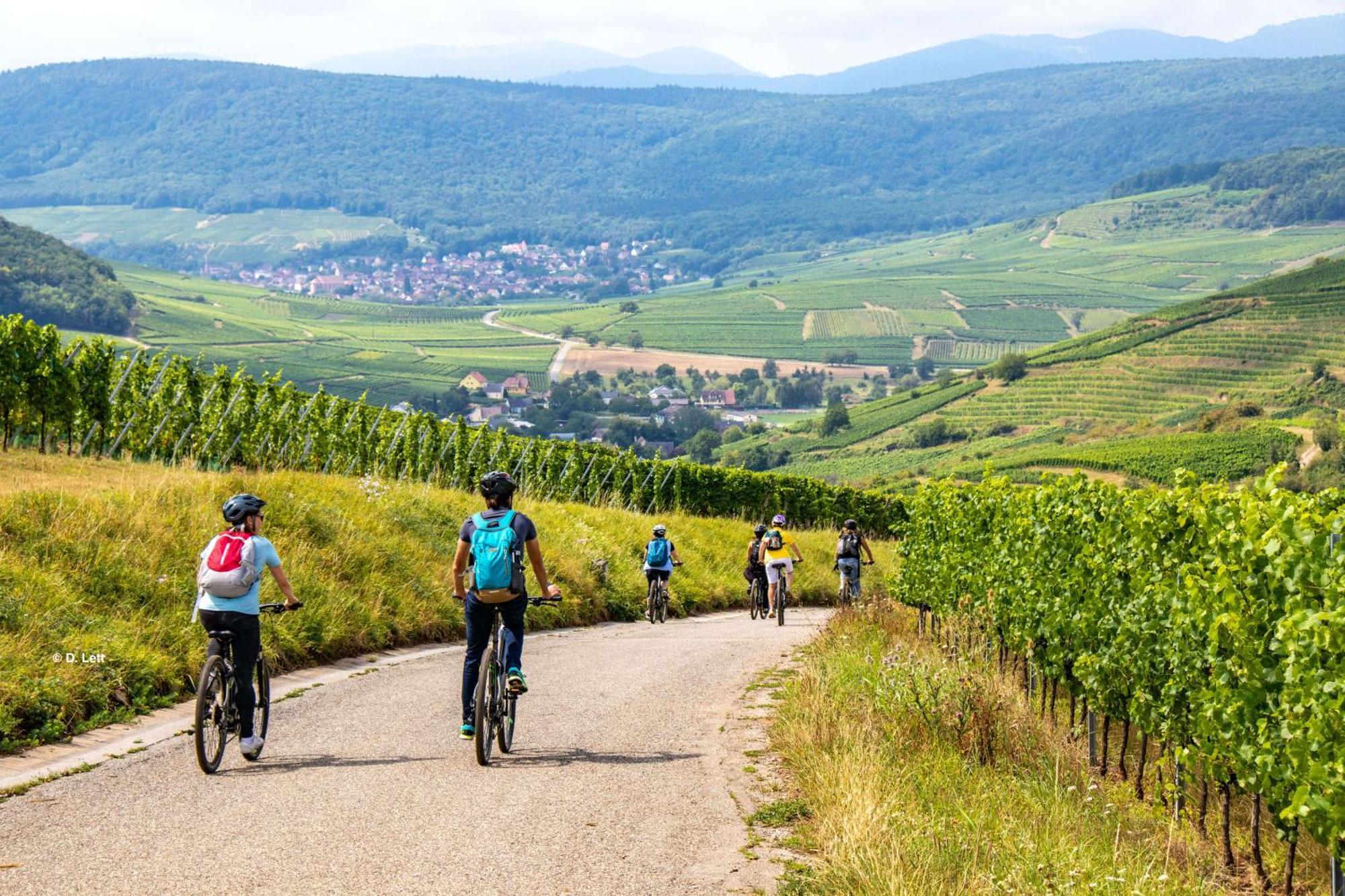 Апартаменты Domaine Boheme I Art De Vivre Гебвиллер Экстерьер фото